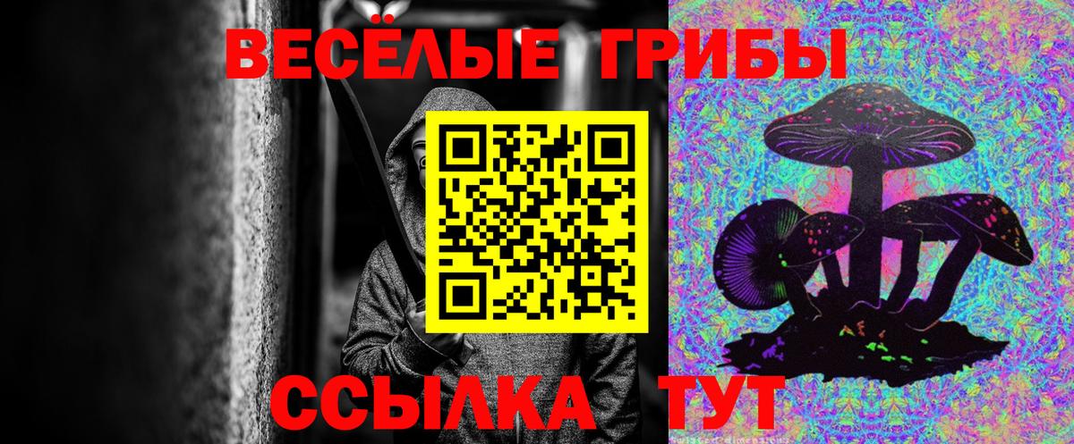 Новокубанск  Псилоцибиновые грибы мицелий  Галлюциногенные грибы Psilocybe  Вход с VPN 