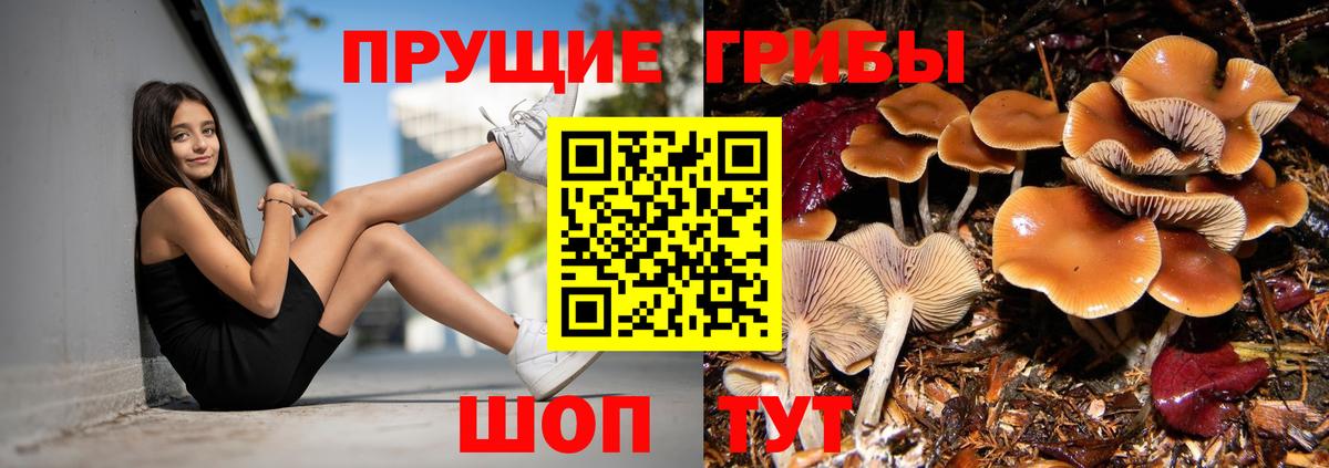 Галлюциногенные грибы мухоморы Новокубанск